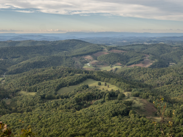 High angle view of green hills and forests
Floyd, Virginia, USA