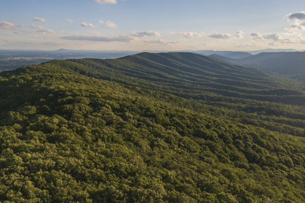 Green forested hills om sunny day
Blacksburg, Virginia, USA