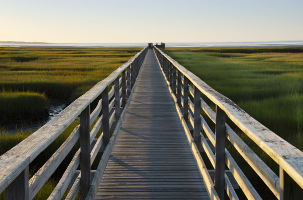 Empty boardwalk at Grays Beach
Yarmouthport, Cape Cod, Massachusetts, USA