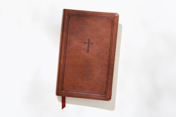 Studio shot of old bible on white background