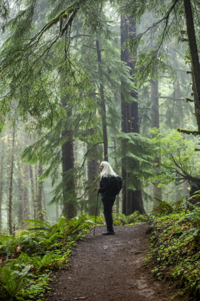 USA, Oregon, Cannon Beach, Senior female hiker on coastal trail through redwood forest