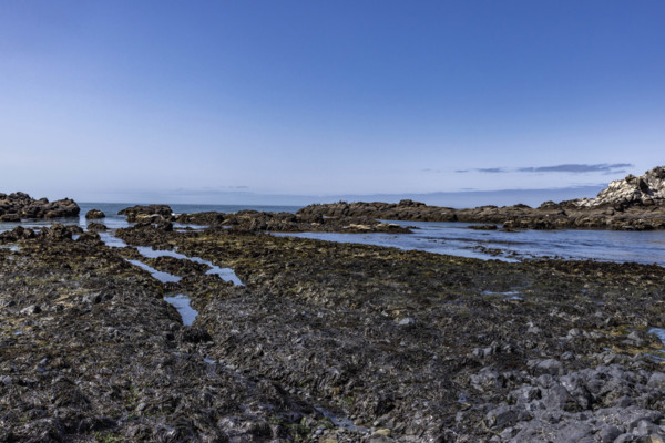 USA, Oregon, Newport, Rocky coast at Yaquina Head Outstanding Natural Area