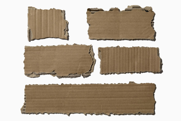 Pieces of torn cardboard on white background