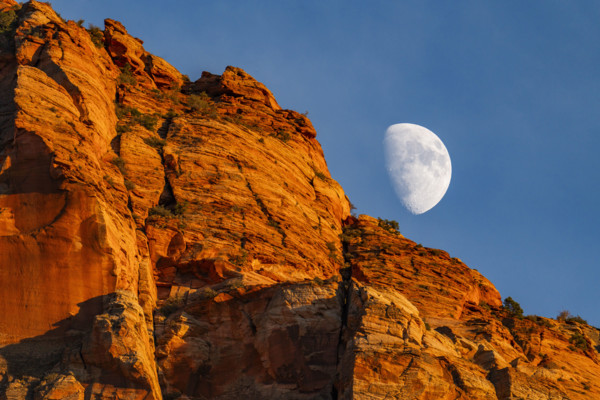 USA, Utah, Springdale, Half moon rising above sandstone cliffs near Zion National Park