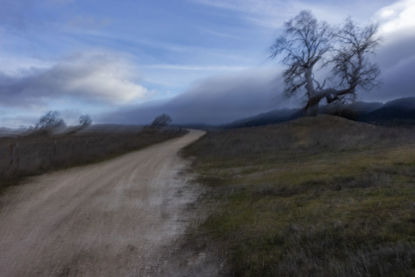 Dirt road with bare treeblurred motion
