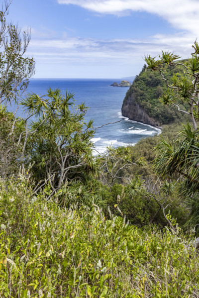 Green tropical island and sea. Kona, Hawaii, USA.