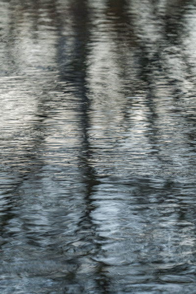 Rippled surface of spring creek with reflections. Bellevue, Idaho, USA.