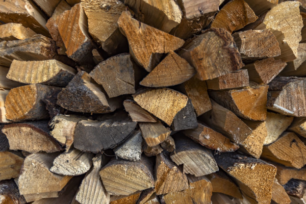 Close-up of firewood stacked for winter. Bellevue, Idaho, USA.