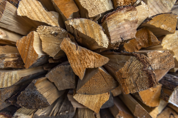 Close-up of firewood stacked for winter. Bellevue, Idaho, USA.