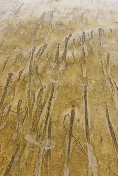 Abstract patterns on beach sand. , Guanacaste, Costa Rica.