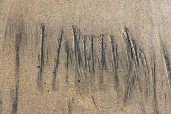 Abstract patterns on beach sand. , Guanacaste, Costa Rica.