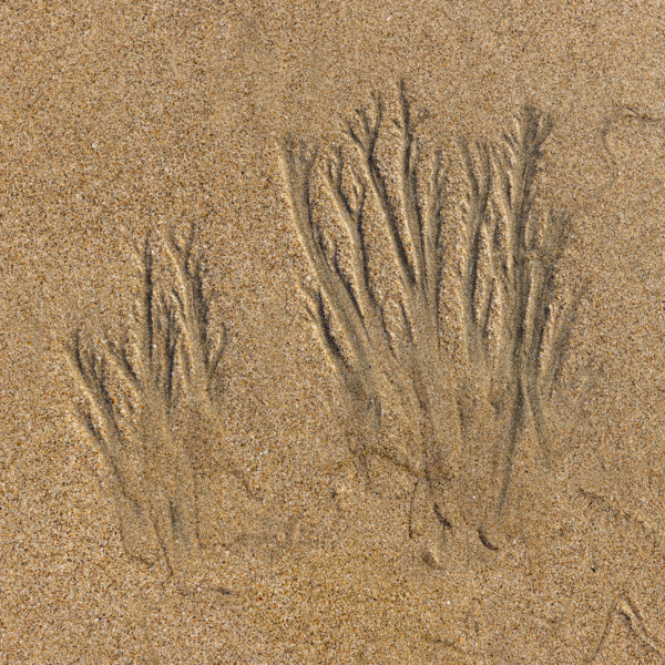 Abstract patterns on beach sand. , Guanacaste, Costa Rica.