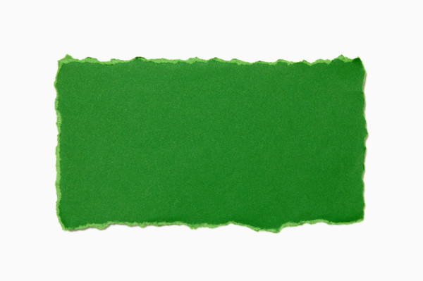Green torn paper on white background. New York City, New York State, USA.