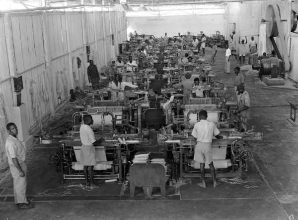 Weaving sisal. Factory workers operate weaving machines at Sisal Products Ltd. Grown commercially