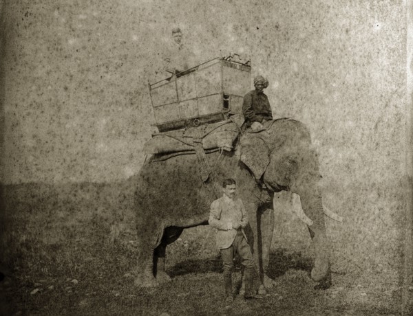 Hunting elephant with howdah. An Indian man, dressed in Western clothing, stands beside a hunting