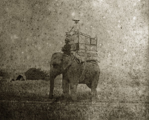 A hunting elephant and its mahout. A British man gazes out from a howdah on the back of hunting