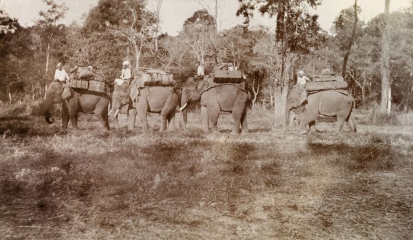 Elephants walk in single file. A group of Burmese mahouts (elephant handlers) lead their laden