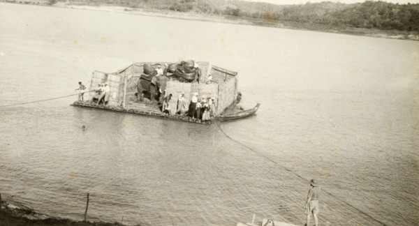 Transporting elephants across a river. Two elephants, used to manoeuvre timber in the teak forests