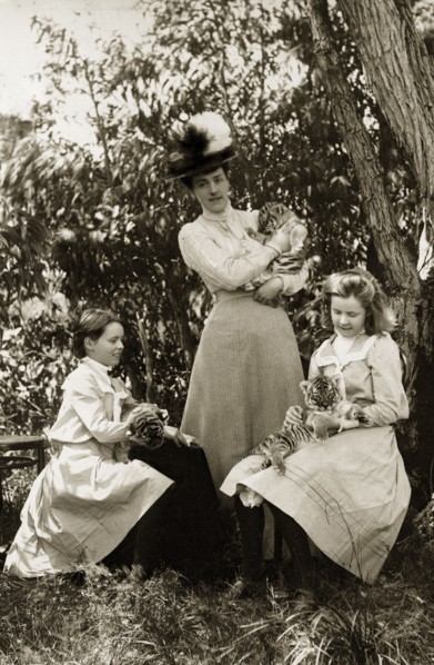 Playing with tiger cubs at Perth Zoo. Lady Annie Lawley (middle) and her daughters, Ursula (right)