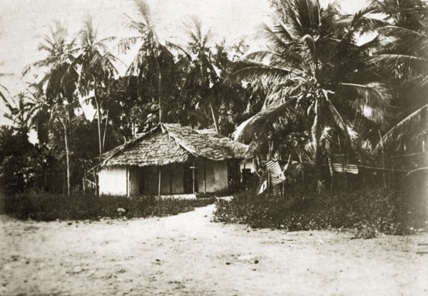 Coastal hut. A small thatched hut built in the shelter of palm trees near the coast. Mombasa,