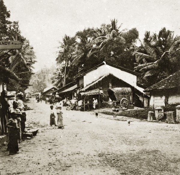 Ceylonian street scene. A wide dirt track flanked by low buildings and palm trees serves as the