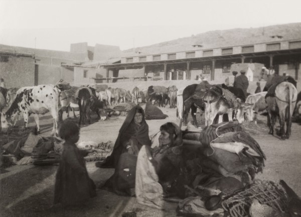 Bedouins take a rest. A group of bedouins take a rest from travelling to feed their animals in an