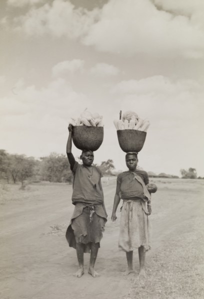 Transporting vegetables. A man and a woman walk along a dusty road balancing baskets full of