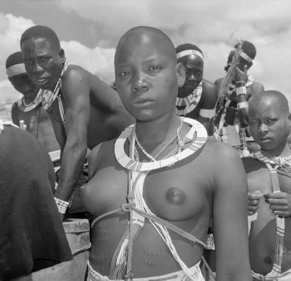 Portrait of a female Wakamba dancer. A female Wakamba dancer dressed in ceremonial costume for