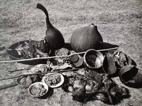 Ingredients for a Mau Mau oathing ceremony. A staged photograph of the ingredients and substances