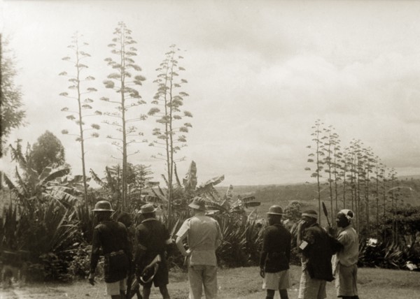 A farmer's Home Guard. Six men, their backs to the camera, look out towards the forest in search of