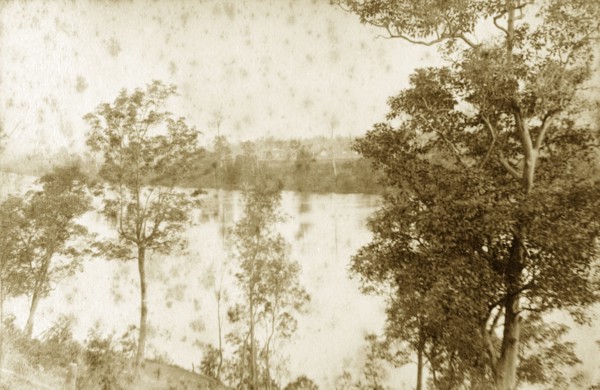 View of the Brisbane river. View through trees of the Brisbane river as it meanders through the