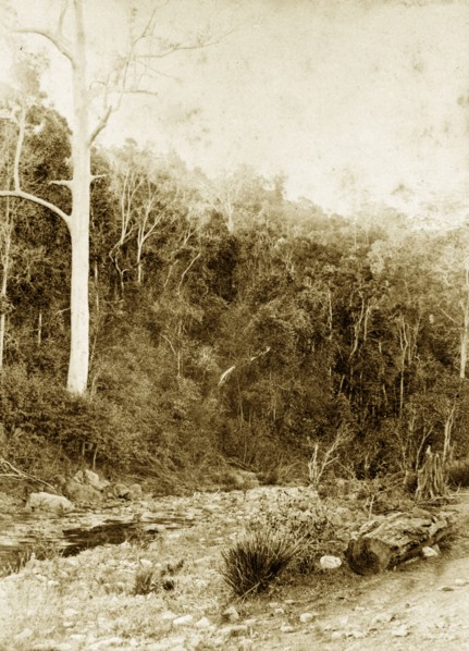 Dry riverbed at Moggill creek. A section of dry riverbed bordered by forested hills in the outback
