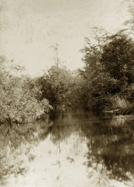Moggill creek, Australia. A peaceful stretch of river in the outback at Moggill creek. Queensland,