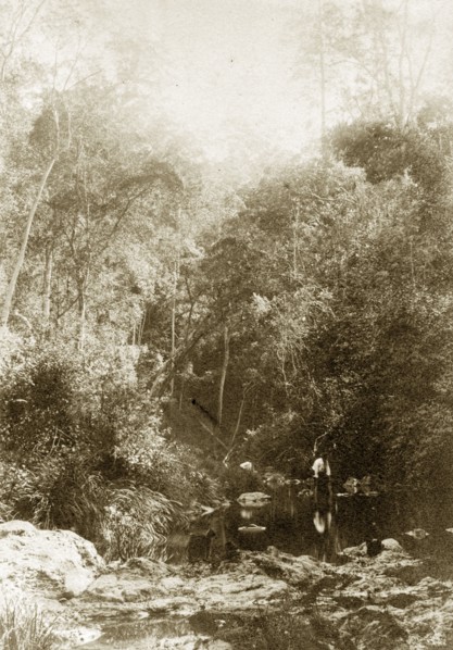 Standing in Moggill creek, Australia. A man stoops, knee-high in water, over a shallow point in the