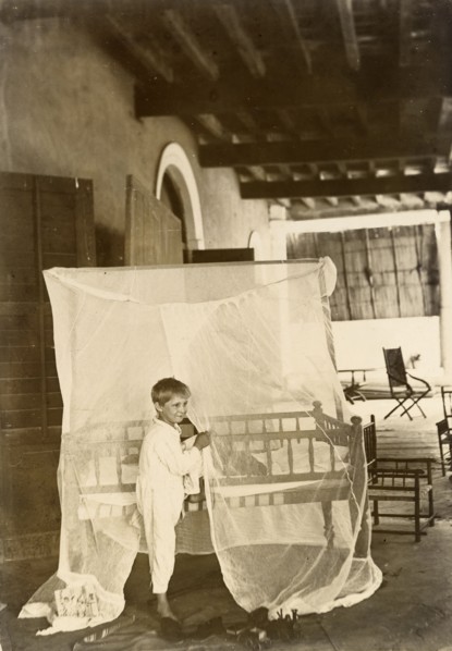 Mosquito curtains. A young boy dressed in pyjamas stands, resting one foot on a bed shrouded with