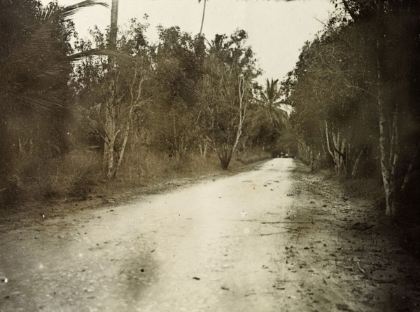 The road to Kampala. The 'road to Kampala', a track surrounded by trees leads away into the