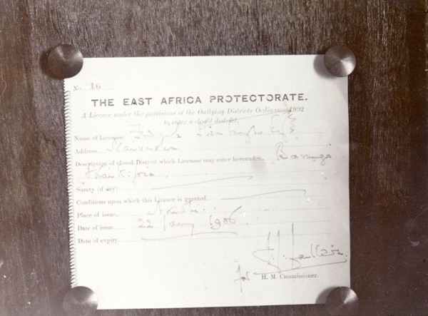Official safari permit. Close-up of the official permit received by Fredercik Stanbury allowing him
