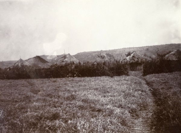 The 'zareeba' at Kavirondo. A rough pathway leads through a field into the thatched-roofed