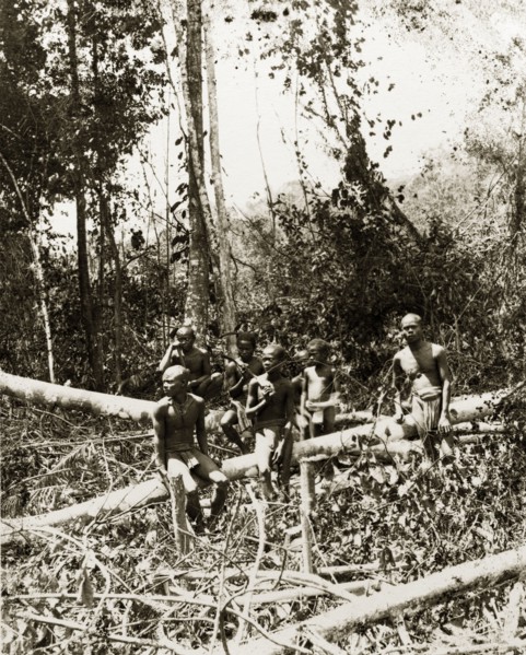 Young north Malaysian aborigines. A small group of young male aborigines from northern Malaysia sit