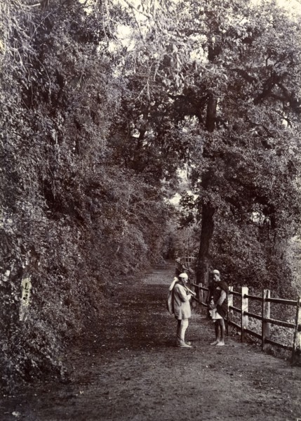 Road in Mussoorie, India. Two men chat on a roadside surrounded by tall trees at a mountain hill