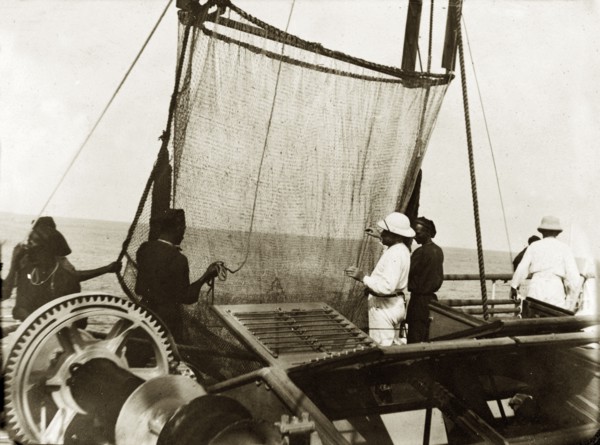 Trawler nets on RIMS 'Investigator'. Officers aboard RIMS 'Investigator' prepare a deep sea trawler