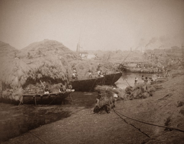 Loading barges at the Hooghly River. Workers load barges with what appears to be either straw or