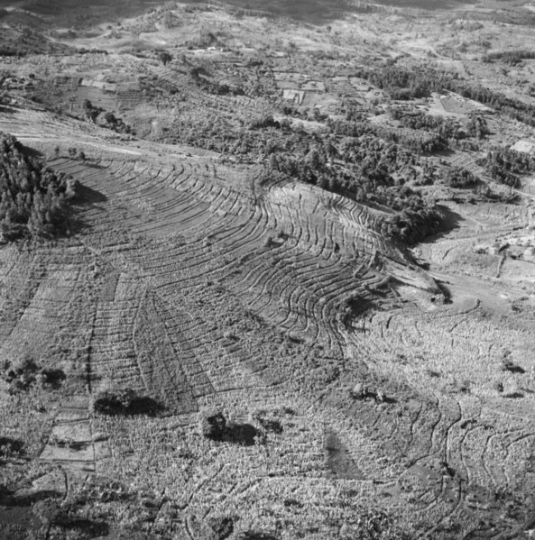 Kikuyu Reserve from the air. Aerial view taken from a Kenya Police Reserve (KPR) aircraft showing
