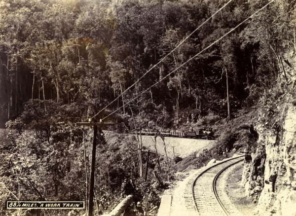 A 'work train', Jamaica. A steam train transports freight cars loaded with male workers to a
