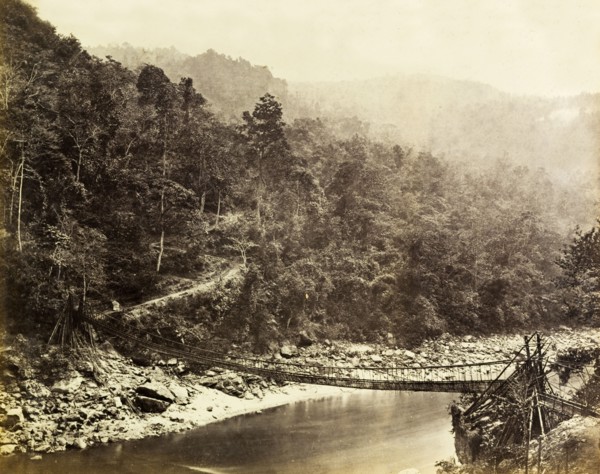 Bamboo rope bridge. A bamboo rope bridge suspended across the Rungeet River. Darjeeling, India,