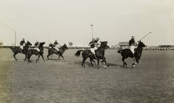 Coronation Durbar Polo Tournament. Horses and their riders in the final match of the Coronation