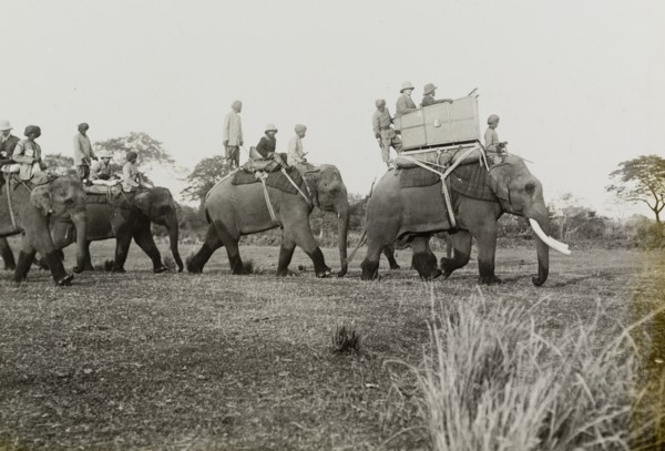 King George V leads the way. A royal hunting party, led by King George V (r.1910-36), rides through