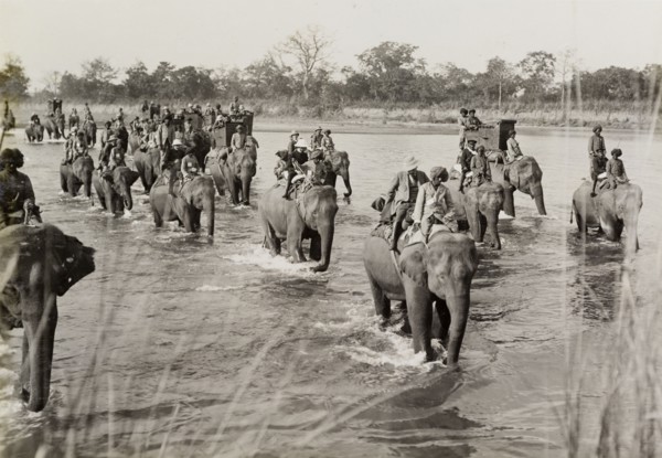 Crossing the river on elephants. A royal hunting party, hosted by the Maharajah of Nepal for King
