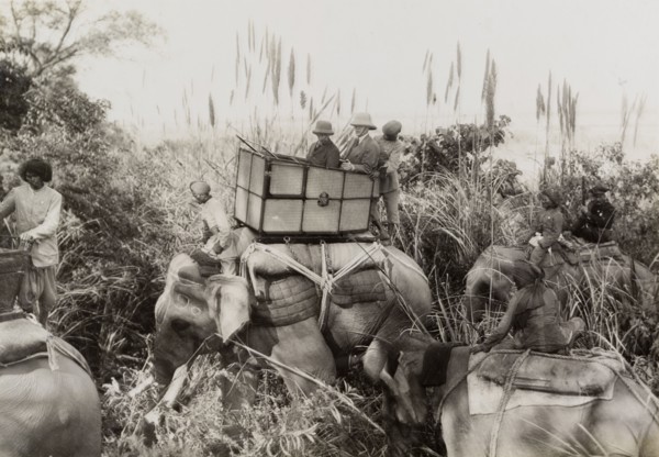 King George V in the jungle. King George V (r.1910-36) and his royal aide ride through the jungle