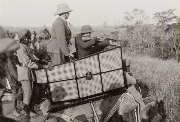 King George V takes aim. King George V (r.1910-36) aims his rifle at a tiger during a hunt hosted